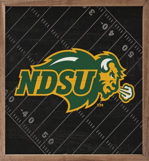 Black Football Field North Dakota State University